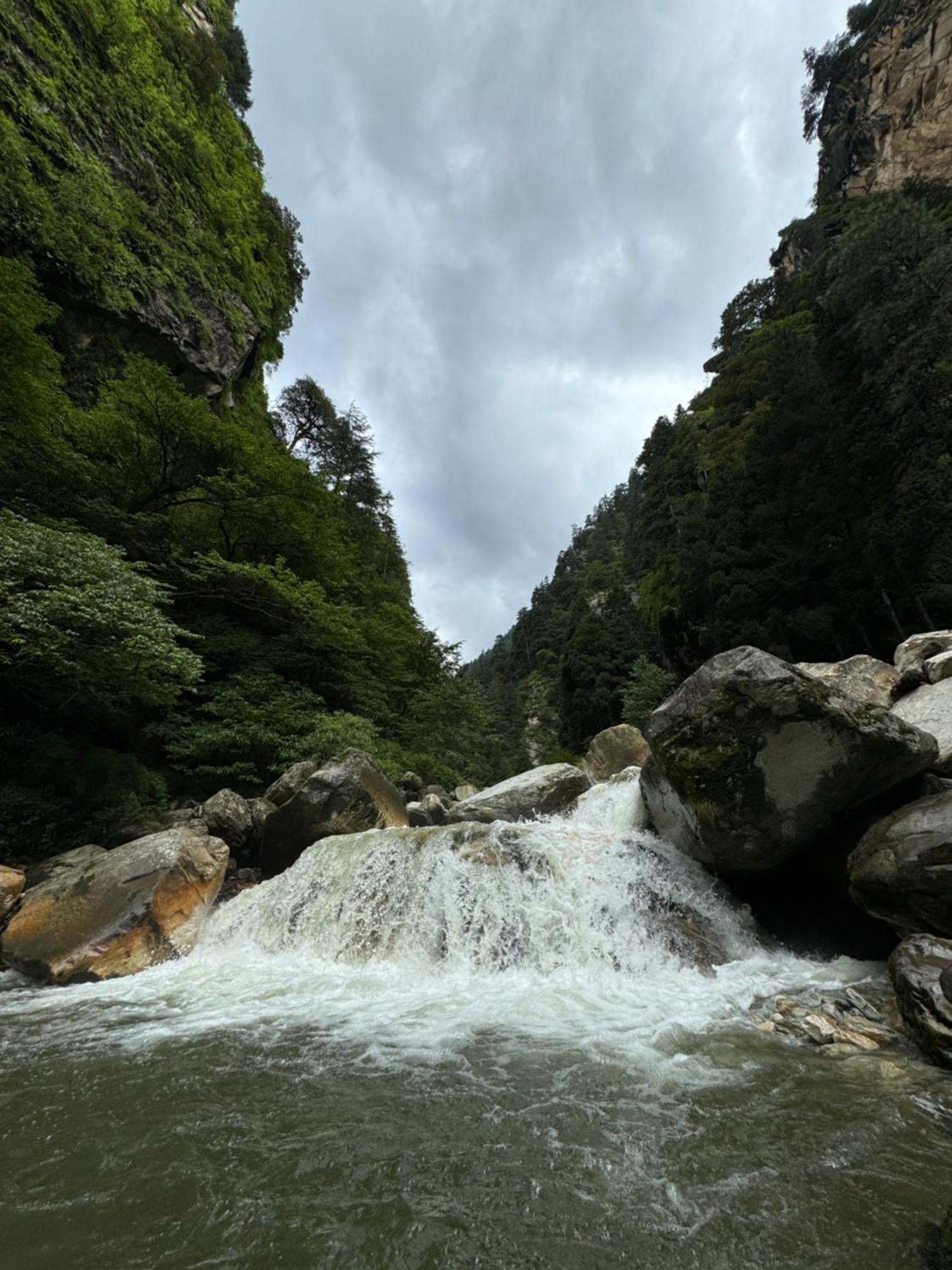 Delight Homestay Kasol Kültér fotó