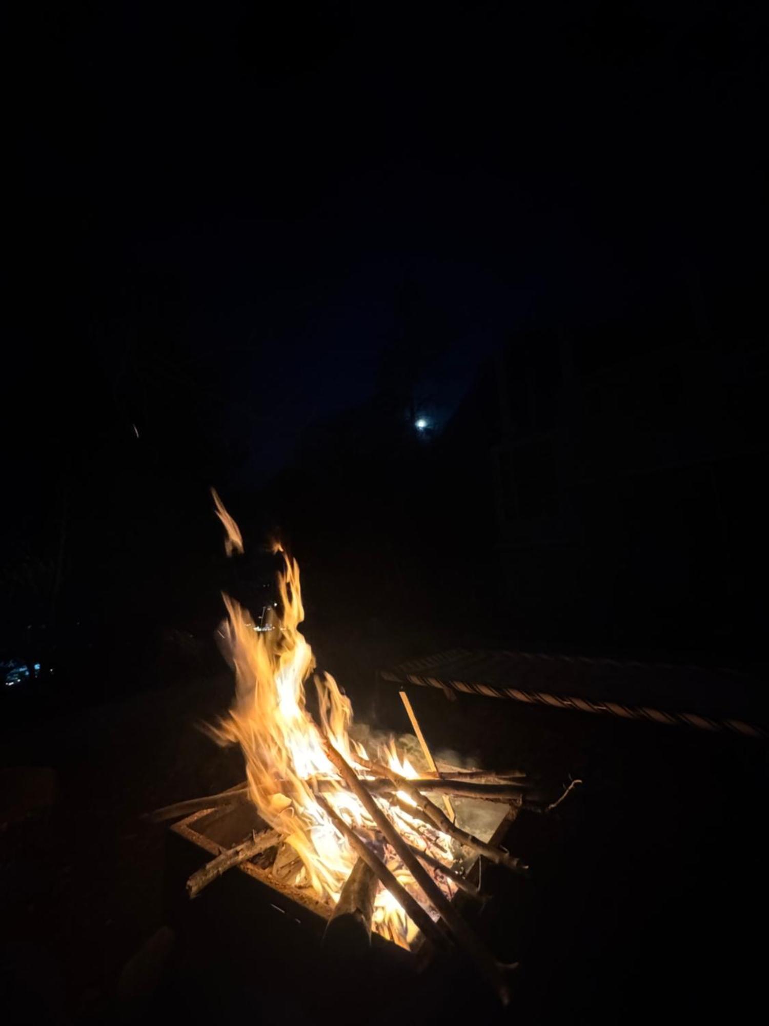 Delight Homestay Kasol Kültér fotó
